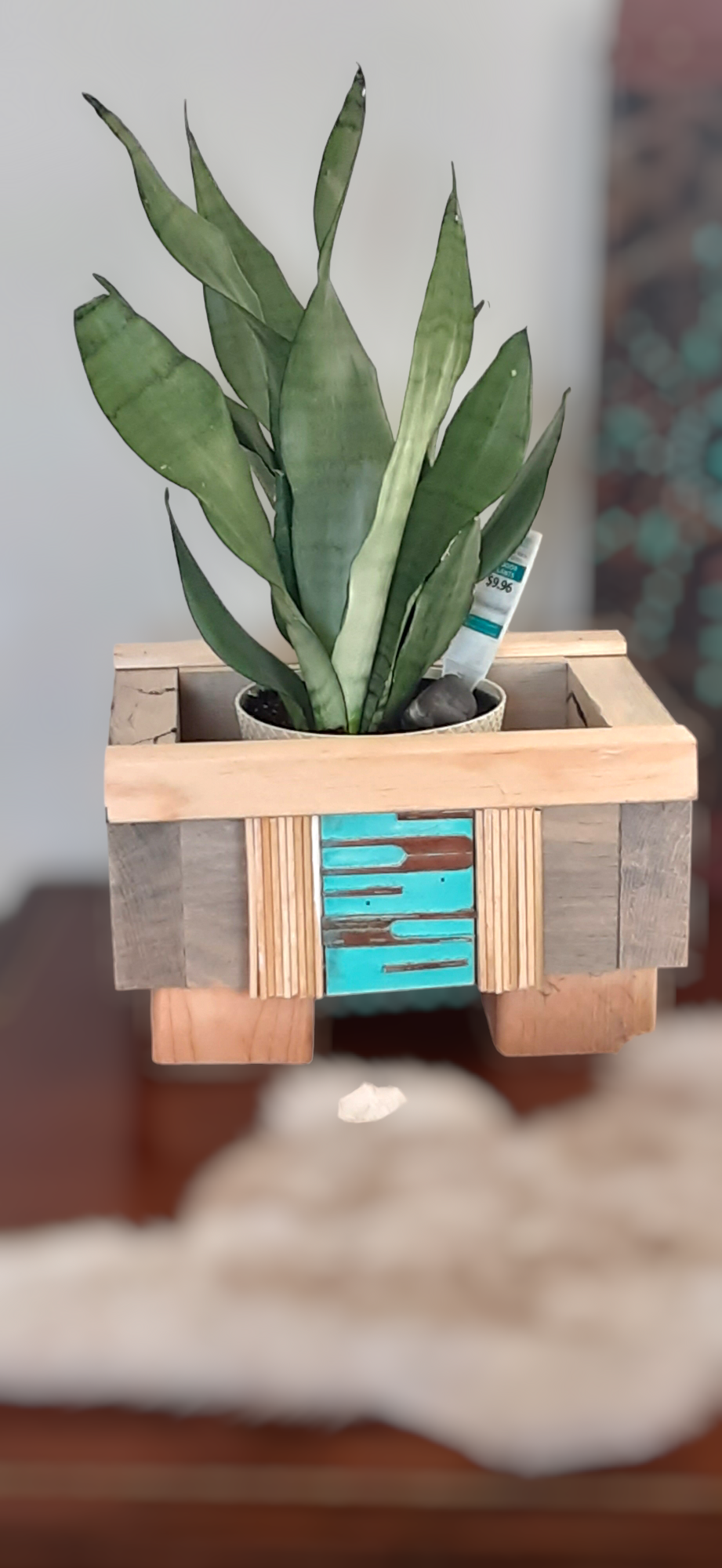 Dessert Palm Plant Box