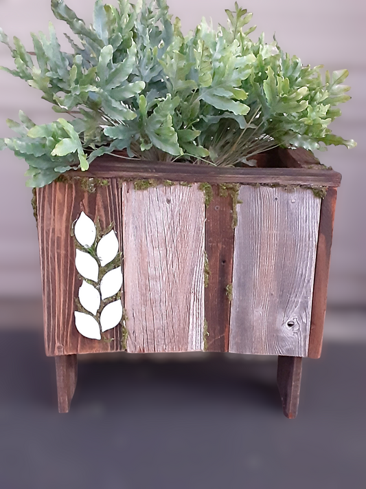 Beach Bum Planter